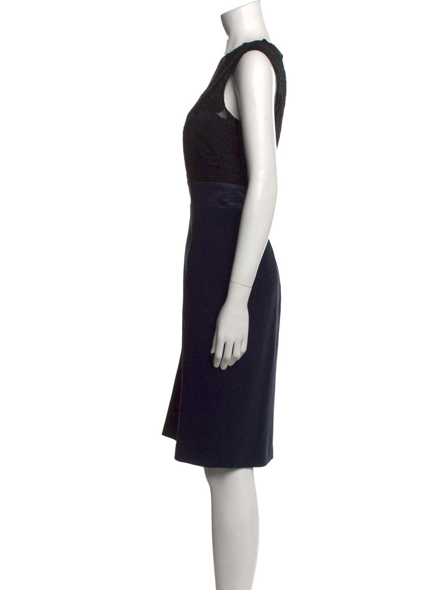 Theia Crew Neck Knee-Length Dress