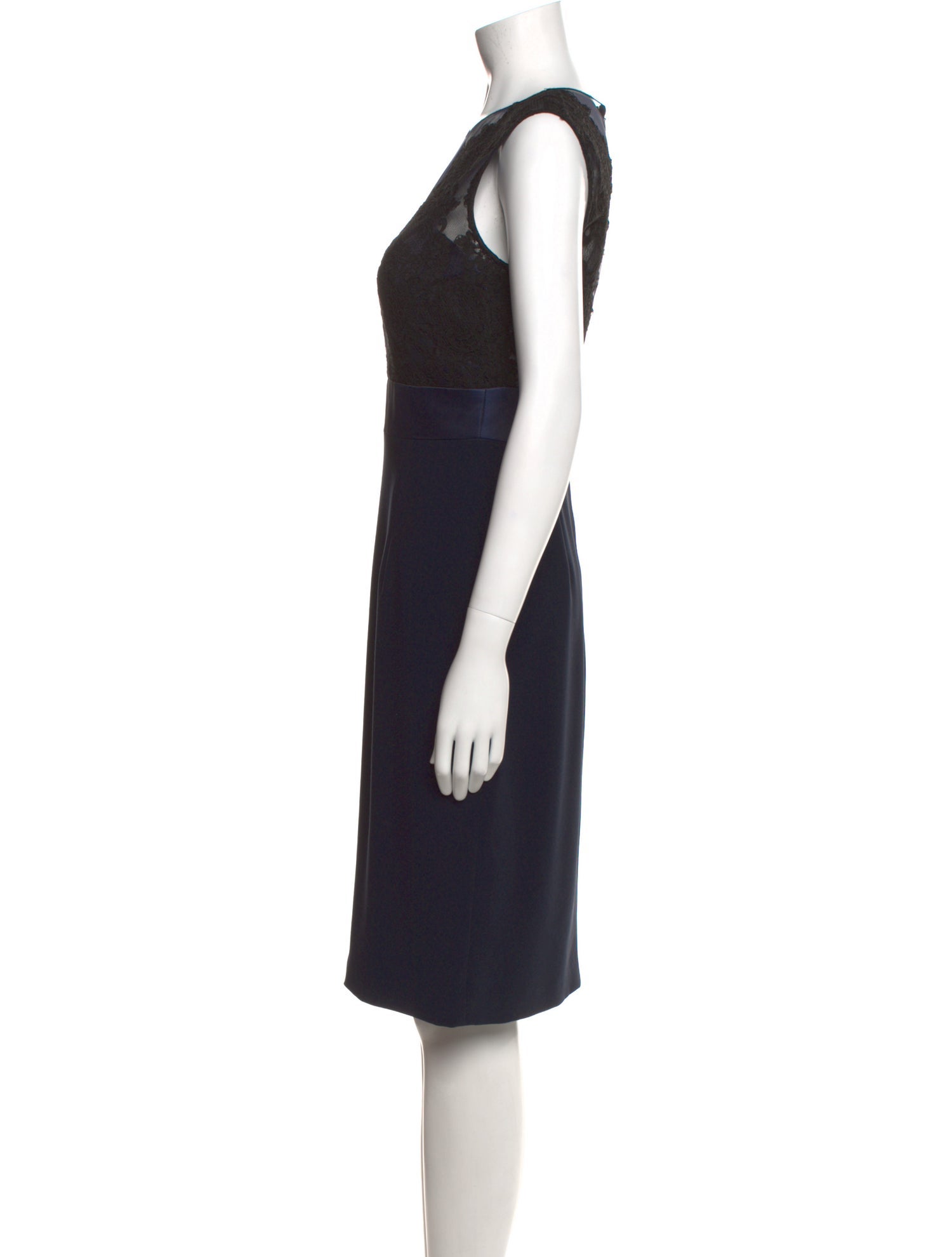 Theia Crew Neck Knee-Length Dress