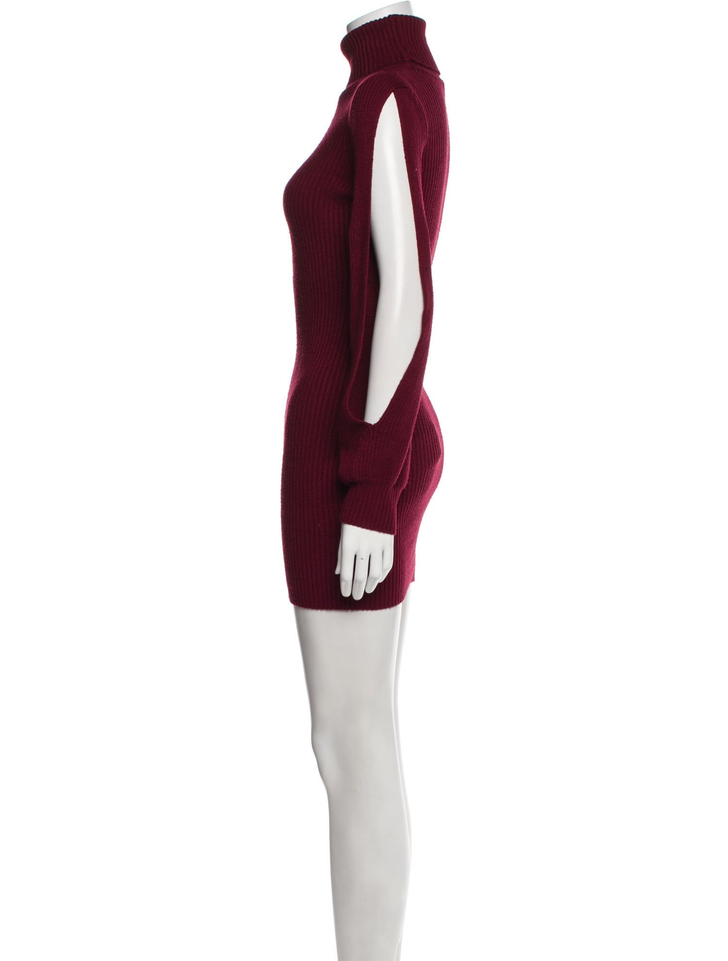 Tularosa Turtleneck Mini Dress