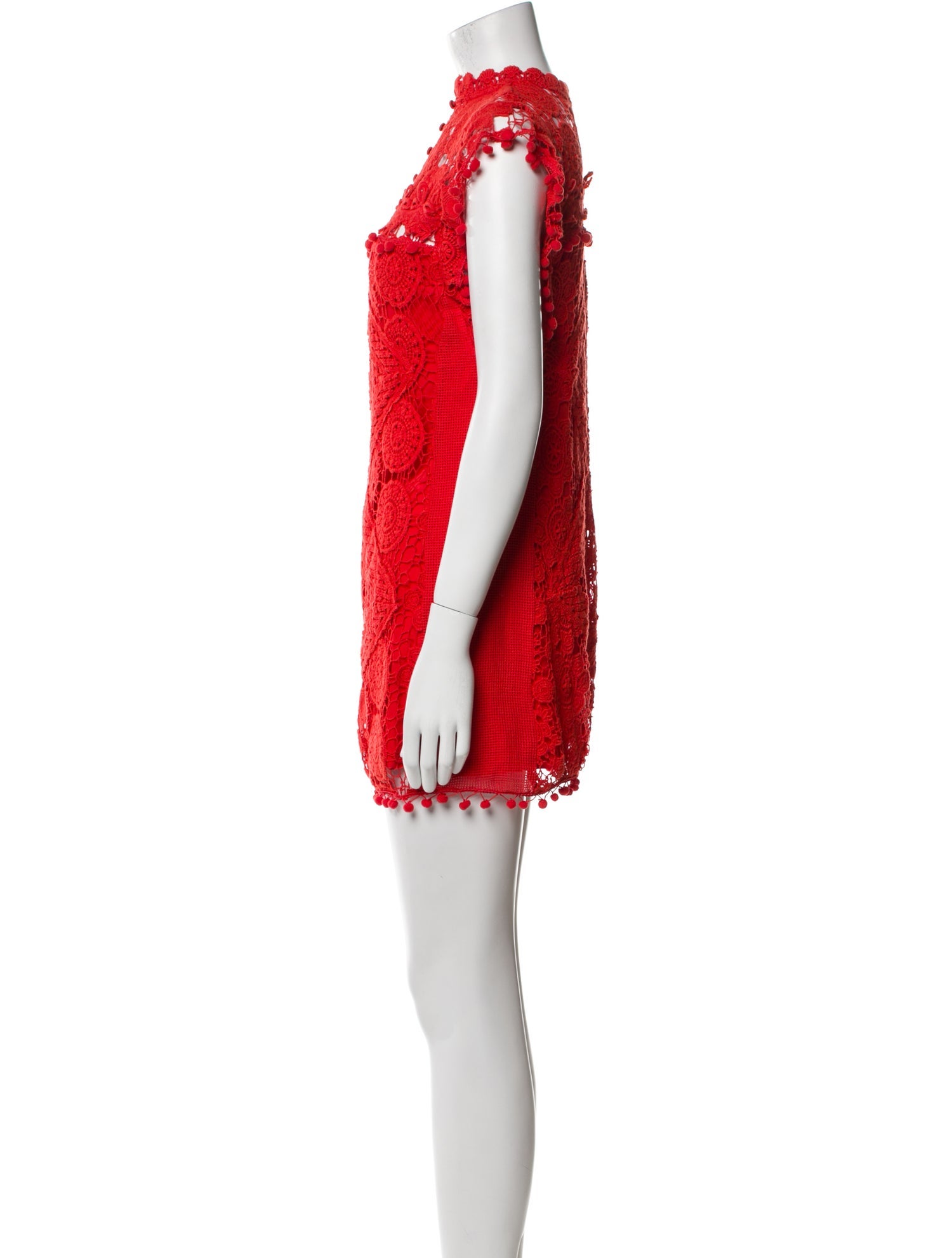 Tularosa Lace Pattern Mini Dress