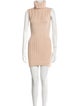 Tularosa Turtleneck Mini Dress
