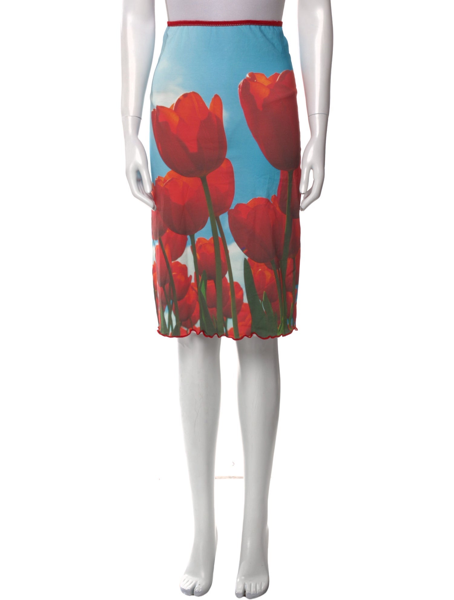 Tyler McGillivary Floral Print Knee-Length Skirt