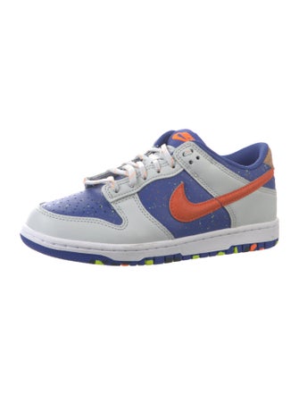 Nike Dunk Low Paint Splatter (GS)