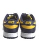 Nike Leather Colorblock Pattern Sneakers