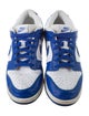 Nike Leather Colorblock Pattern Sneakers