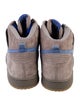 Nike SB Dunk 'Iron' Sneakers