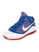 Nike Lebron 7 PE Hardwood Classic Sneakers