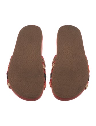 Ulla Johnson Straw Colorblock Pattern Slides