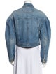 Ulla Johnson Denim Jacket