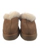 UGG Suede Slides