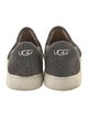 UGG Suede Sneakers