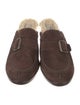 UGG Suede Mules
