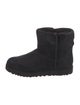 UGG Suede Boots