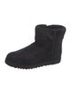 UGG Suede Boots