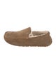UGG Suede Loafers