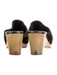 UGG Suede Mules