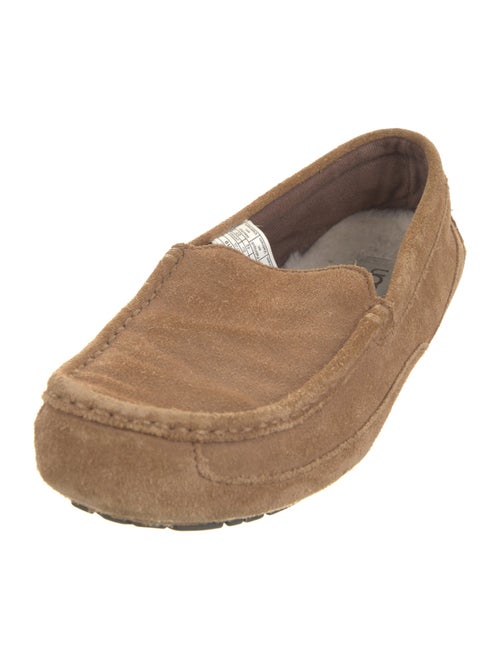 UGG Suede Drivers