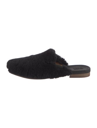 UGG Shearling Mules