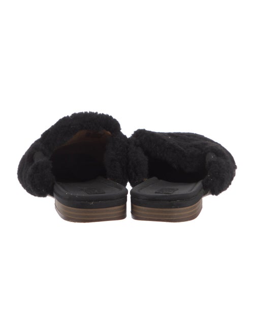 UGG Shearling Mules