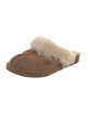 UGG Suede Mules