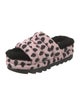 UGG Printed Slides