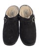 UGG Suede Mules