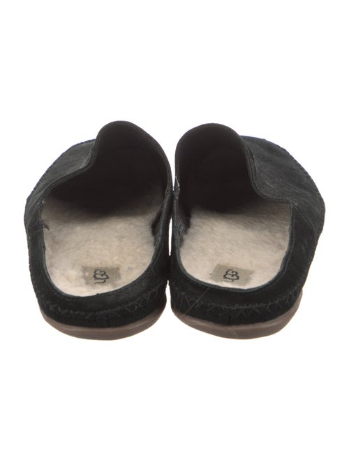 UGG Suede Mules