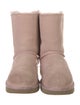 UGG Suede Bow Accents Lace-Up Boots