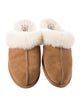 UGG Suede Mules