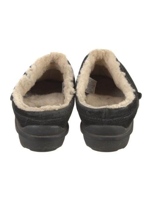 UGG Suede Mules