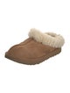 UGG Suede Mules