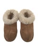 UGG Suede Mules