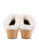 UGG Suede Fur Trim Mules