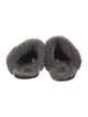 UGG Suede Mules