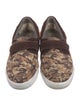 UGG Canvas Printed Sneakers