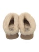 UGG Suede Mules