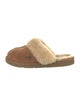 UGG Suede Mules