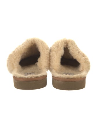 UGG Suede Mules