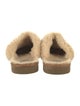 UGG Suede Mules