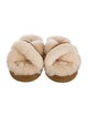 UGG Shearling Slides