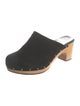 UGG Suede Studded Accents Mules