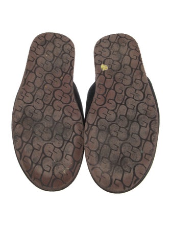 UGG Suede Slides