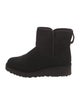 UGG Suede Boots