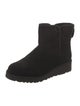 UGG Suede Boots
