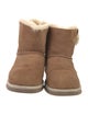 UGG Suede Boots