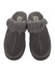 UGG Suede Mules
