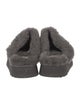 UGG Suede Mules