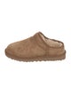UGG Suede Mules