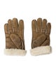 UGG Fur Suede Gloves