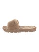 UGG Shearling Slides